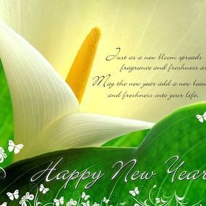 Meet your Posher, Monika